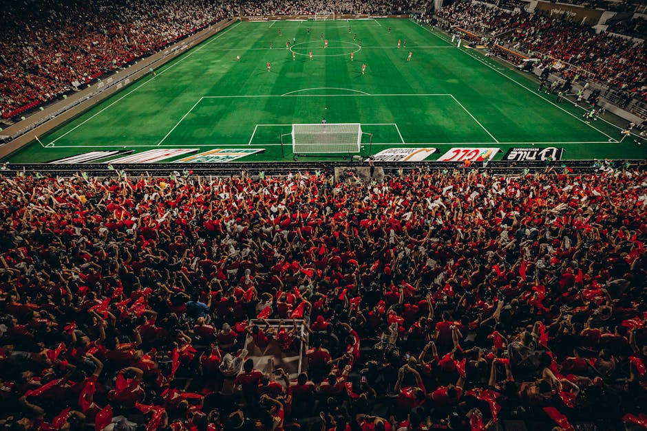 Napoli vs Torino: Team News, Lineups & Betting Odds | OddsForge